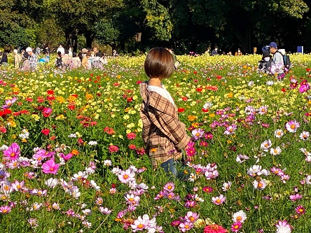 昭和記念公園ピクニックで秋を満喫 子乗せ自転車サイクリング子連れ攻略ルート ひろたんの回想録